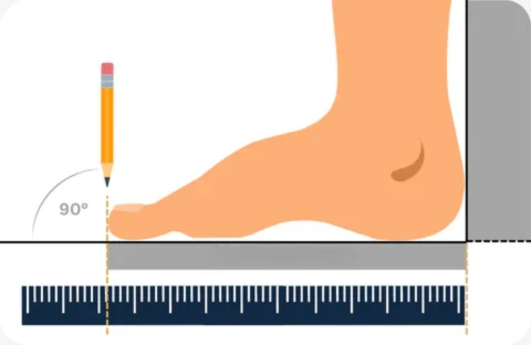 Foot length